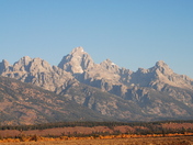 Grand Tetons,Moose,Wy.
