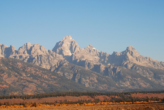 Grand Tetons,Moose,Wy.