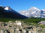 Glacier National Park