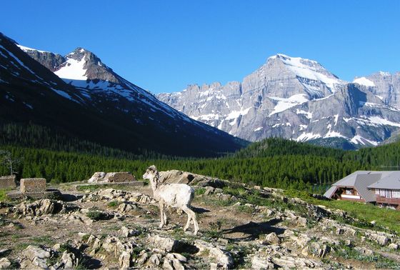 Glacier National Park
