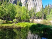 Yosemite National Park