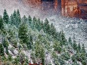 Zion National Park