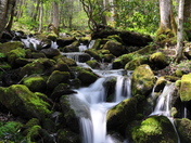 Smoky mountain National Park
