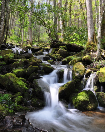 Smoky mountain National Park
