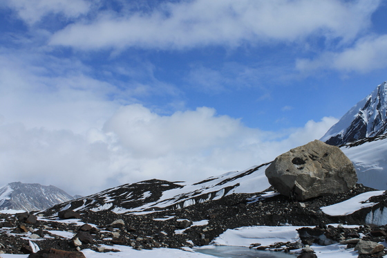Denali National Park
