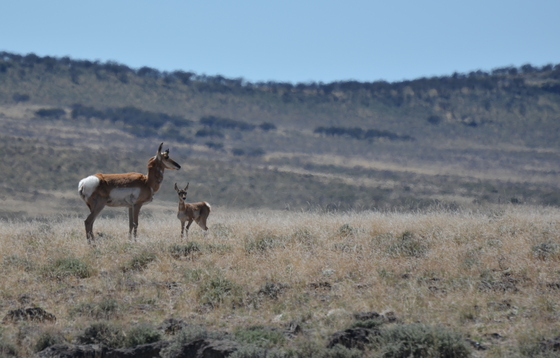 Sheldon National Wildlife Refuge