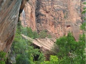 Zion National Park