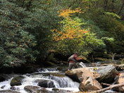 Nantahala National Forest