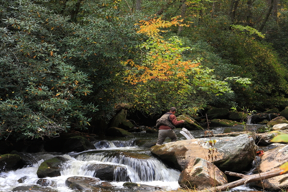 Nantahala National Forest