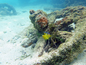Dry Tortugas National Park