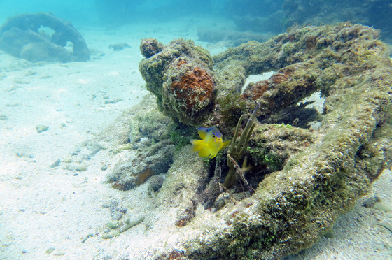 Dry Tortugas National Park
