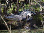Jean Lafitte National Historical Park and Preserve
