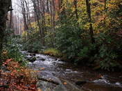 Pisgah National Forest