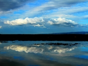 Don Edwards San Francisco Bay National Wildlife Refuge