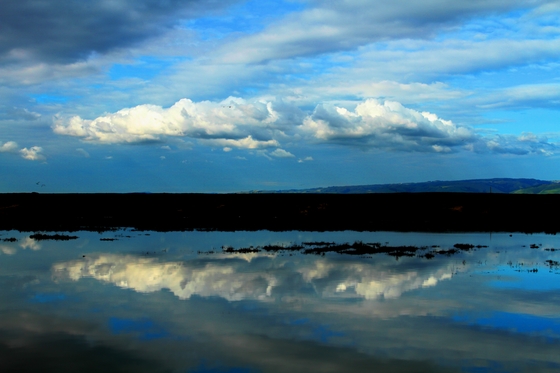Don Edwards San Francisco Bay National Wildlife Refuge