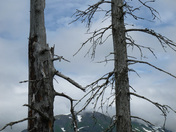 Kenai Fjords National Park