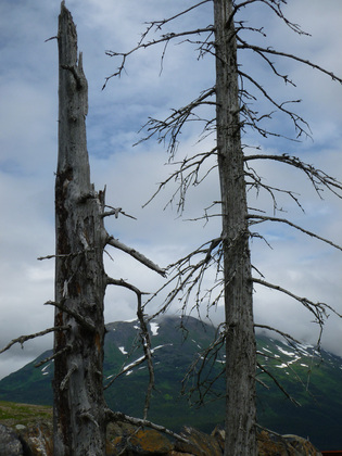 Kenai Fjords National Park
