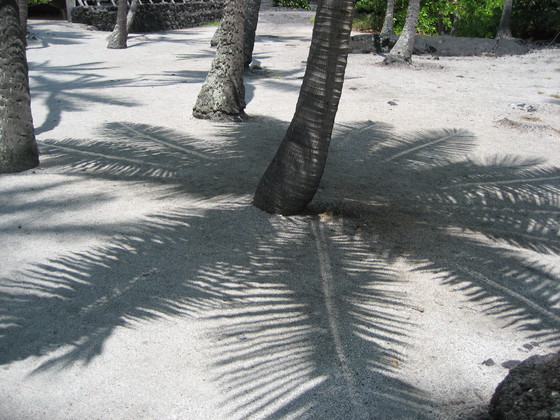 Pu'uhonua o Honaunau National Historical Park, Honaunau-Napoopoo, Hawaii