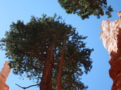 Bryce Canyon National Park
