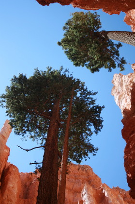 Bryce Canyon National Park