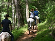 Great Smoky Mountain National Park
