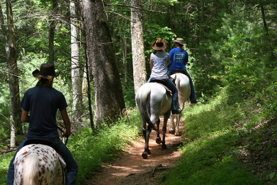 Great Smoky Mountain National Park