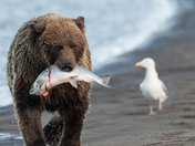 Lake Clark National Park & Preserve