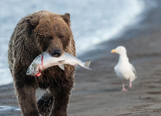 Lake Clark National Park & Preserve