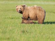 Lake Clark National Park