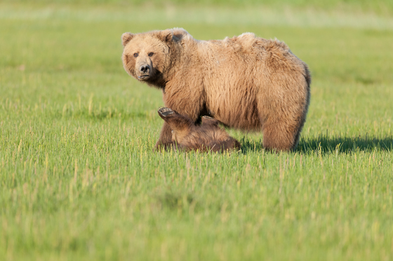 Lake Clark National Park