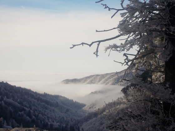 Great Smokey Mountain National Park