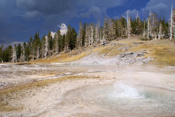 Yellowstone National Park