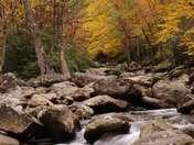 The Great Smokey Mountains