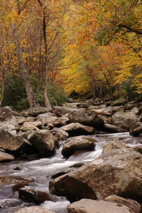 The Great Smokey Mountains