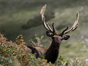 Rocky Mountain National Park