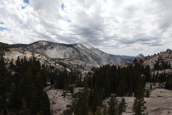 Yosemite National Park
