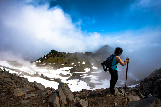 Mount Rainier National Park