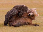 Katmai National Park & Preserve