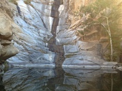 Cleveland National Forest