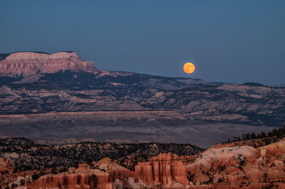 Bryce National Park
