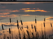 Back Bay Wildlife Refuge 