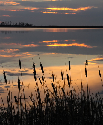 Back Bay Wildlife Refuge 