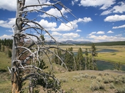 Yellowstone National Park