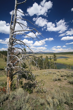 Yellowstone National Park