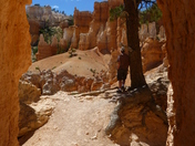 Bryce National Park