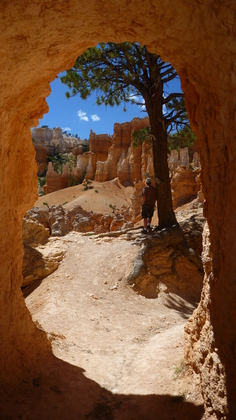 Bryce National Park