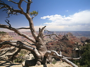 Grand Canyon Nationl Park