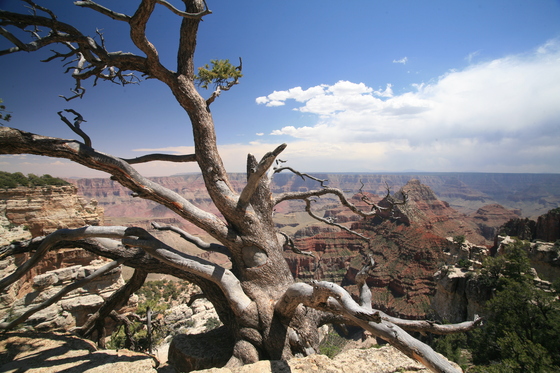 Grand Canyon Nationl Park