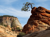Zion National Park
