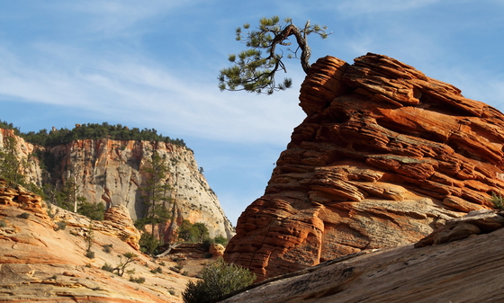 Zion National Park